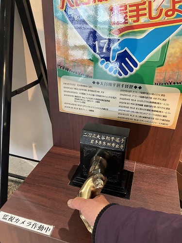 「ふるさとのお雛さま」2025年3月3日(月) ~ えさし郷土文化館 第二展示室|岩手県江刺市
